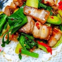 ข้าวคะน้าหมูกรอบ