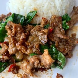 คะน้าดาวกระจายราดข้าว