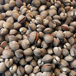 หอยแครง แม่ติ๋ว (ตลาดบ้านห้วย)