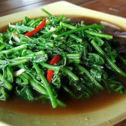 ผักกูดผัดน้ำมันหอย