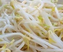 ถั่วงอก ลวก