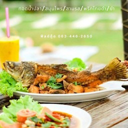 ปลากะพงสองใจ