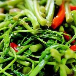 ผัดกะเฉด