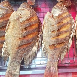 นายปลาทอดแดดเดียว