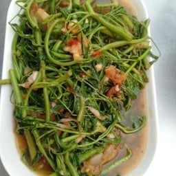 ผักกะเฉดไฟเเดง