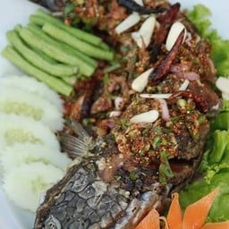 ลาบปลาช่อน