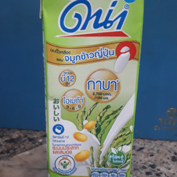 ดีน่า - จมูกข้าวญี่ปุ่น