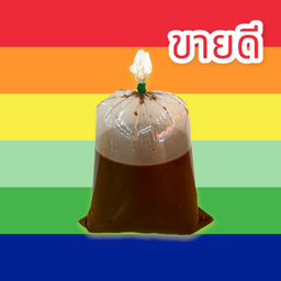 กาแฟโบราณนมสด ร้อน (โกปี้)