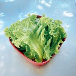 ผักกากหอม