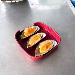 หอยแมลงภู่นิวซีแลนด์