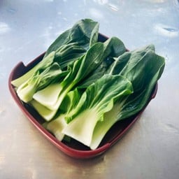 ผักกาดฮ่องเต้