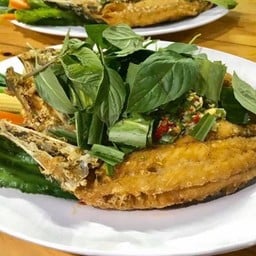 ปลากะพงลุยสวย