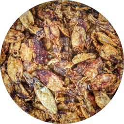 ปลาหมึกแดดเดียวทอด