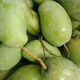 ร้านยำขนมจีน ส้มตำ คลองสาม