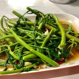 กระเฉดไฟแดง