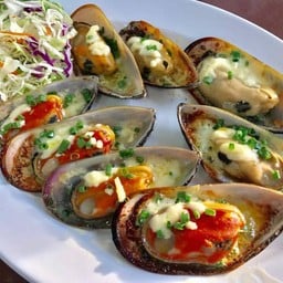 หอยแมลงภู่นิวซีแลนด์อบชีส