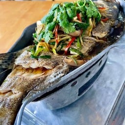 ปลาเก๋านึ่งซีอิ๊ว