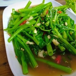 ผักบุ้งไฟแดง