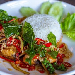 ข้าวราดผัดฉ่าปลากะพง