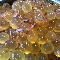 ไข่ปลาเรียวเซียว