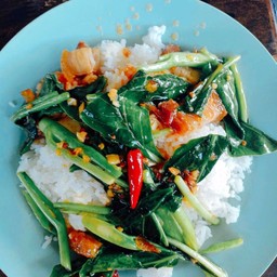 คะน้าน้ำมันหอยราดข้าว