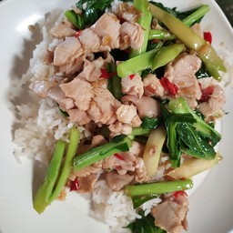 คะน้าไก่