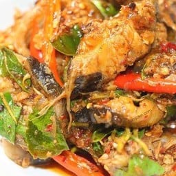 ผัดเผ็ดปลาดุก