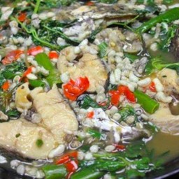 ต้มปลาช่อนใส่ไข่มดแดง