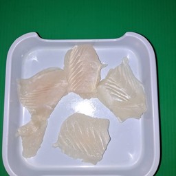 ปลาดอลรี่