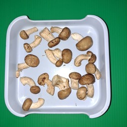 เห็ดหอมสด