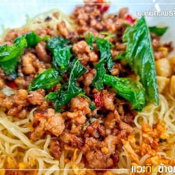 หมีน้อยตามสั่ง ราชดำเนิน