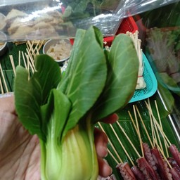 ซิมเบิ่ง ชาบูน้ำดำเข้มข้น ทะเลดองเกาหลี