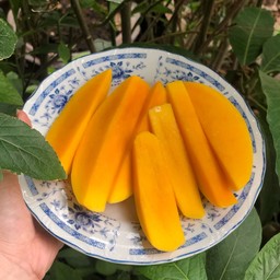 มะม่วงสุก เปรี้ยวหวาน (เขียวมรกต) -เปรี้ยวหวาน อร่อย