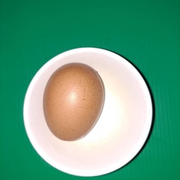 ไข่ไก่