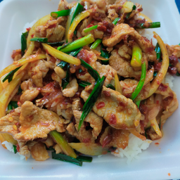 ผัดพริกเผาหมูราดข้าว