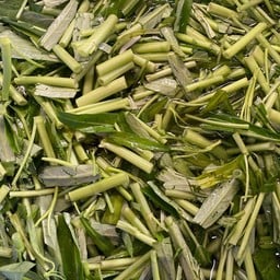 ผักเพิ่ม (ผักบุ้งอย่างเดียว)