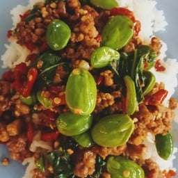 กระเพราหมูผัดสตอ
