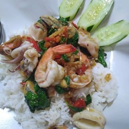 กระเพราทะเลรวม