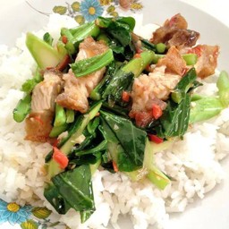 ขัาวราดคะน้าหมูกรอบ