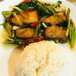 ข้าวราดปลากระพงผัดขึ้นไช่