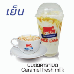 นมสดคาราเมล(เย็น)