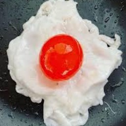 ไข่เป็ดดาว