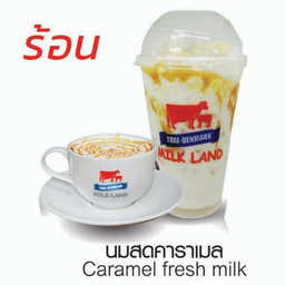 นมสดคาราเมล(ร้อน)