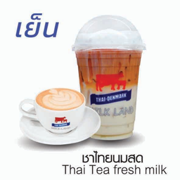 ชาไทยนมสด(เย็น)
