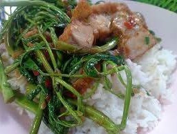 ข้าวราดผัดผักกระเฉดหมูกรอบ