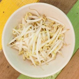 ถั่วงอกสด/ลวก DL