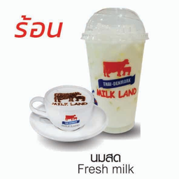 นมสด(ร้อน)