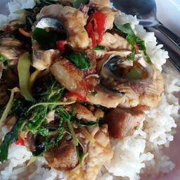 ปลาบึกผัดฉ่าราดข้าว