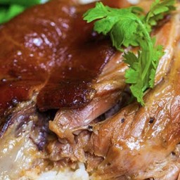 ฟ้าเจริญสาขา2 ข้าวขาหมู กะเพาะ หลัง มช