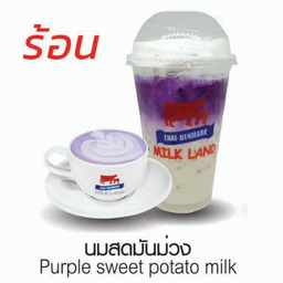 นมสดมันม่วง(ร้อน)